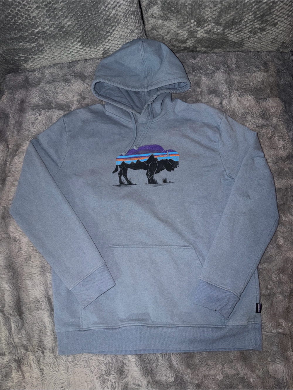 Patagonia Blue Pullover Hoodie with Mountain Buffalo Graphic